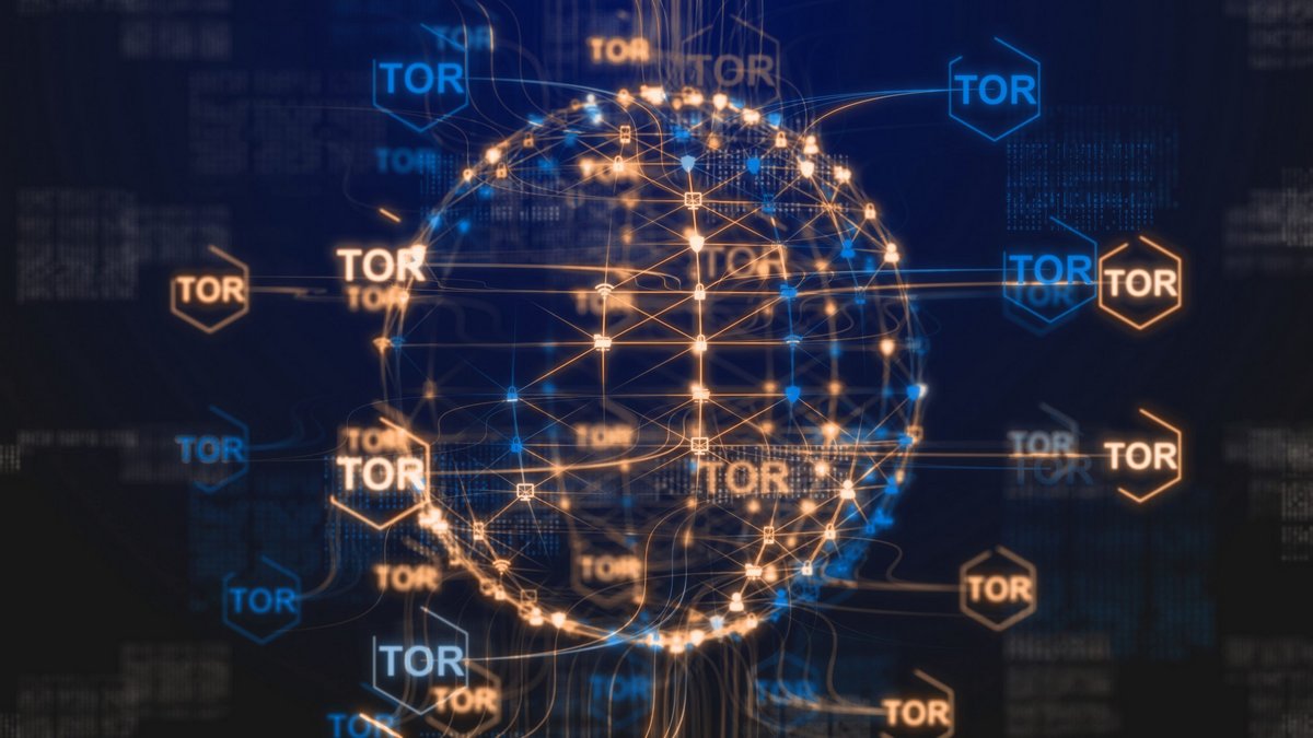 Le manque de diversité du réseau Tor a pu contribuer à son infiltration par les autorités de plusieurs pays © Immersion Imagery / Shutterstock