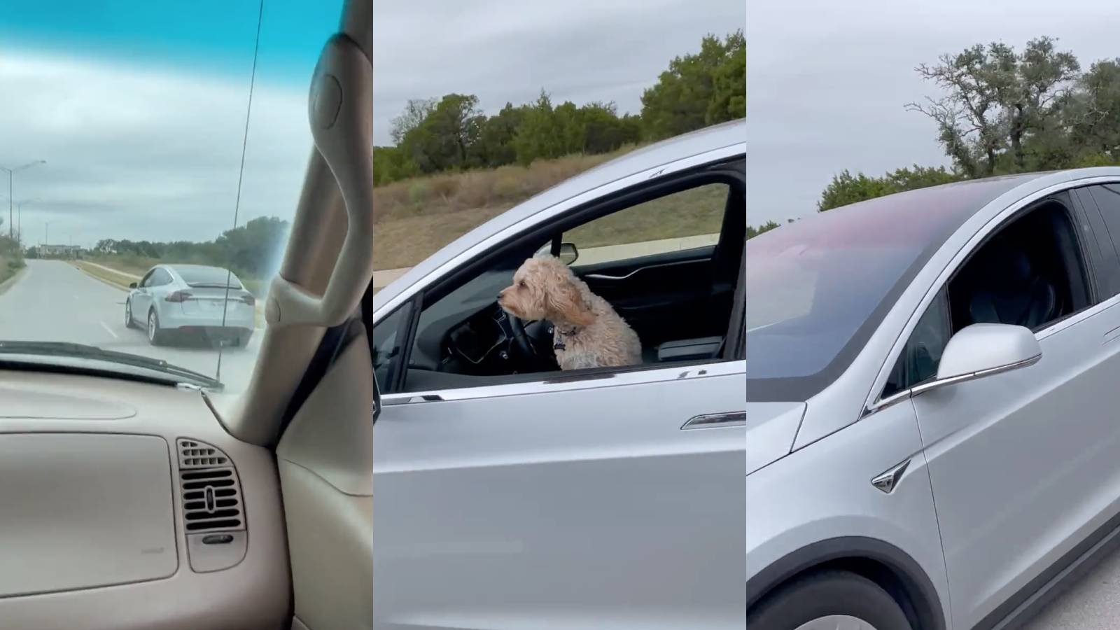 © Captures d'écran via @blakemessick sur Twitter