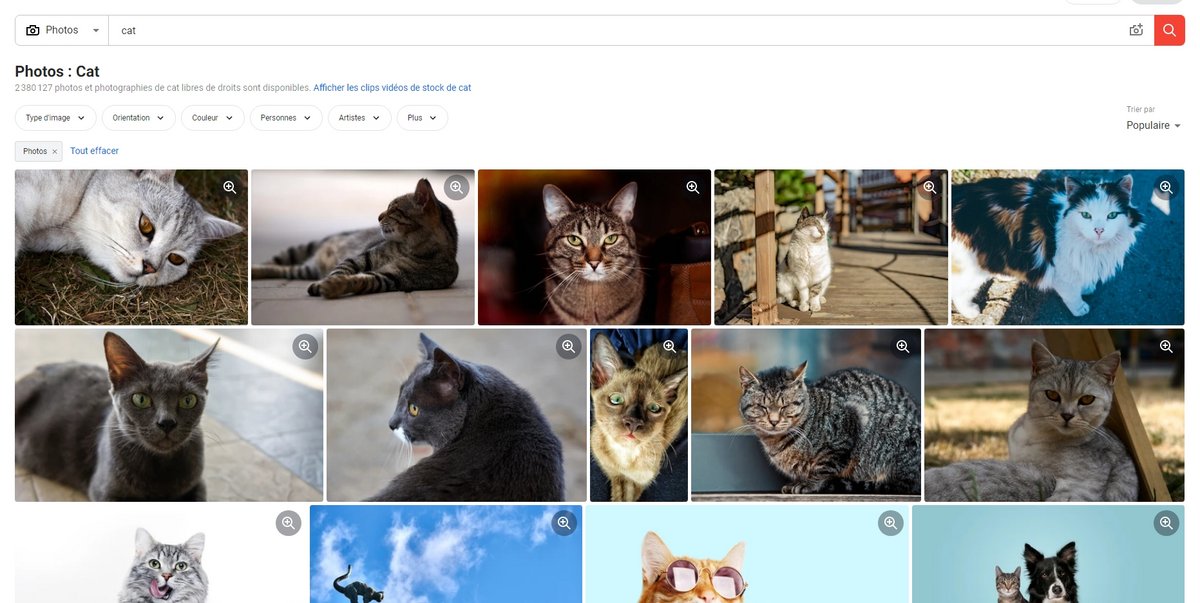 Shutterstock recherche