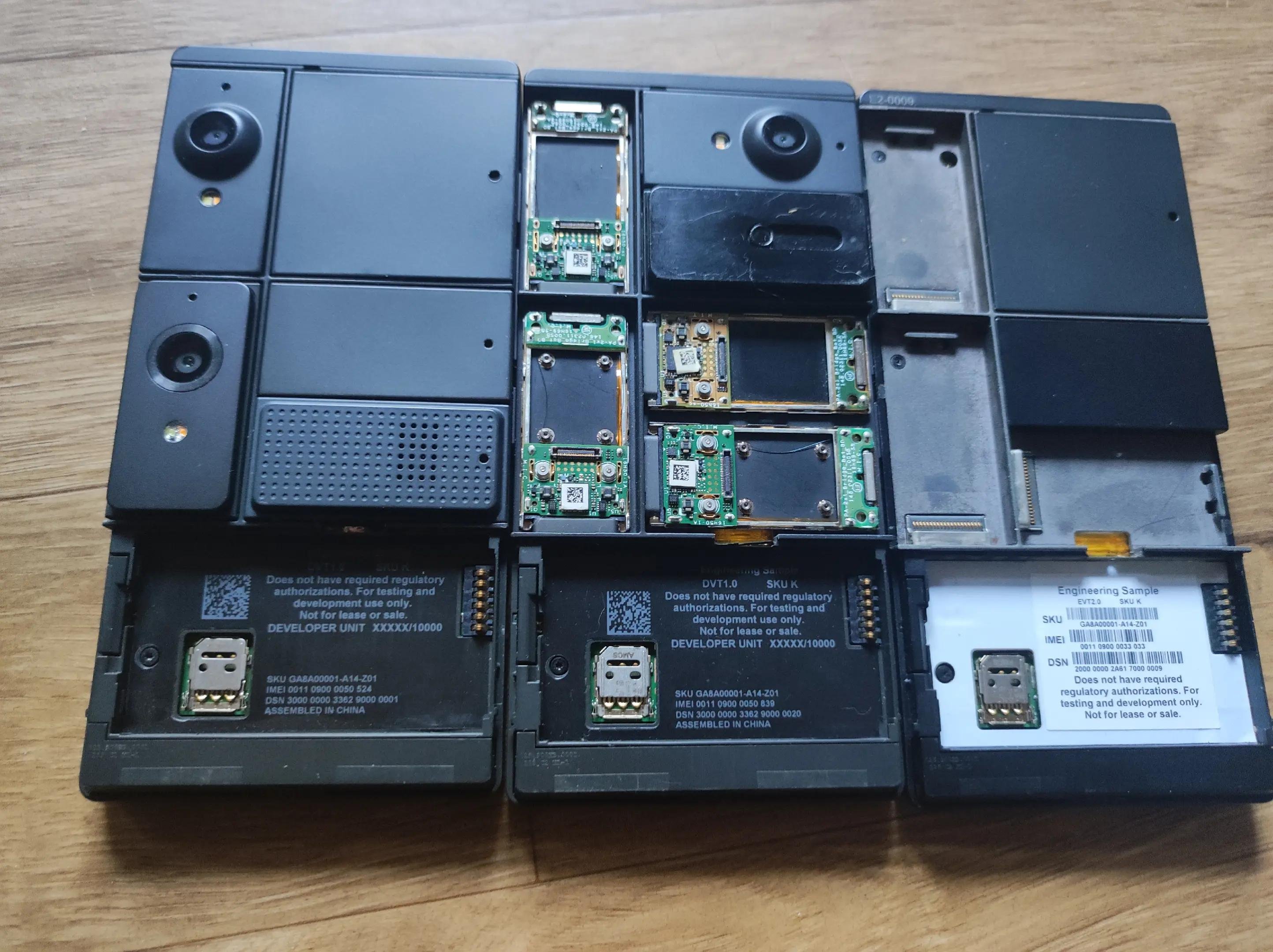  Un rêve mort-né qui fait encore mal. © Tiktok/@racoondetectionsquad