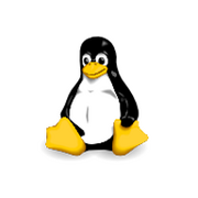 Linux Kernel