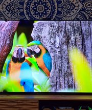 Test Sony Bravia XR-55A95K : un petit pas pour l'OLED, un grand pas pour Sony