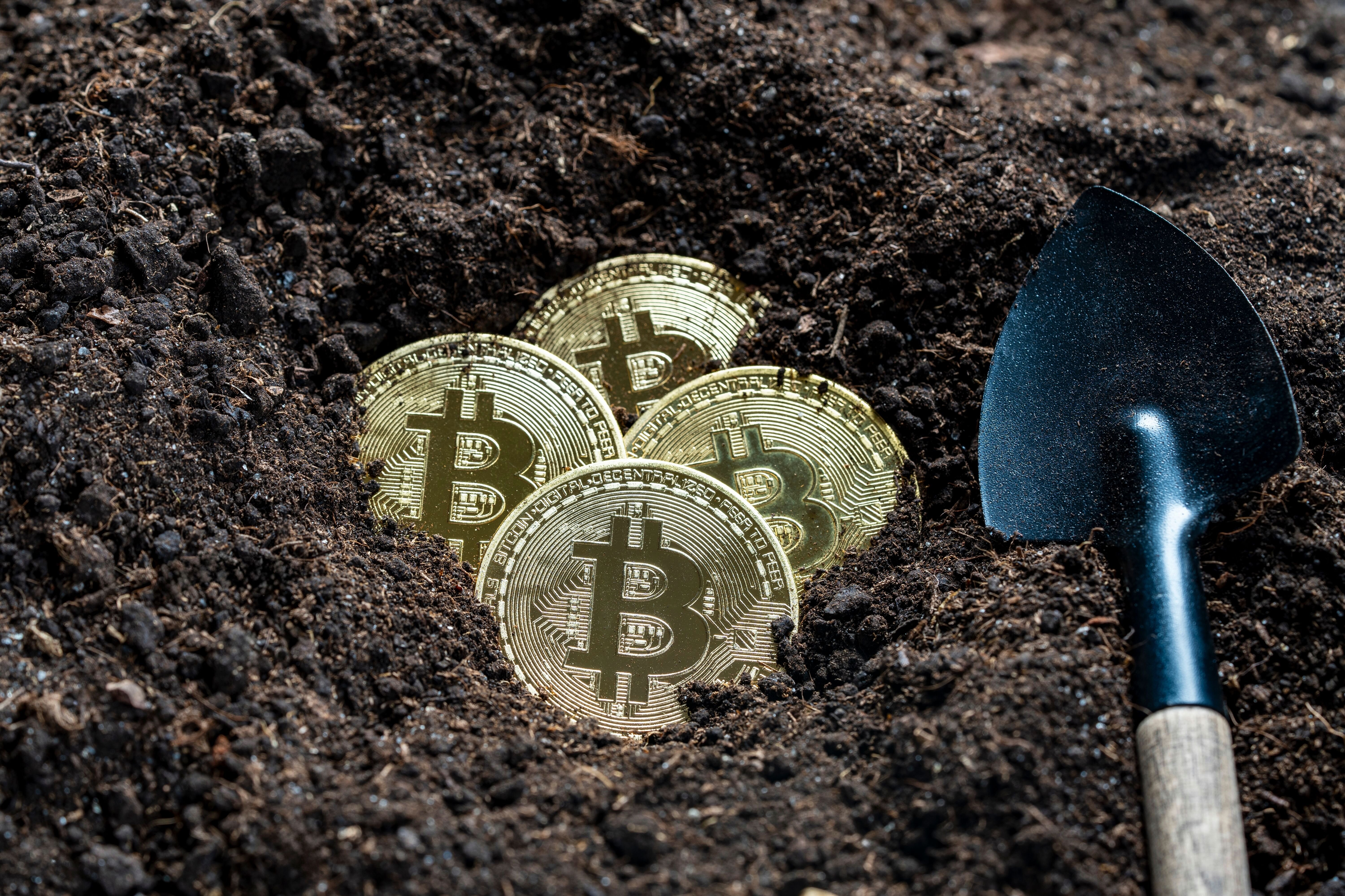 © OlegD / Shutterstock