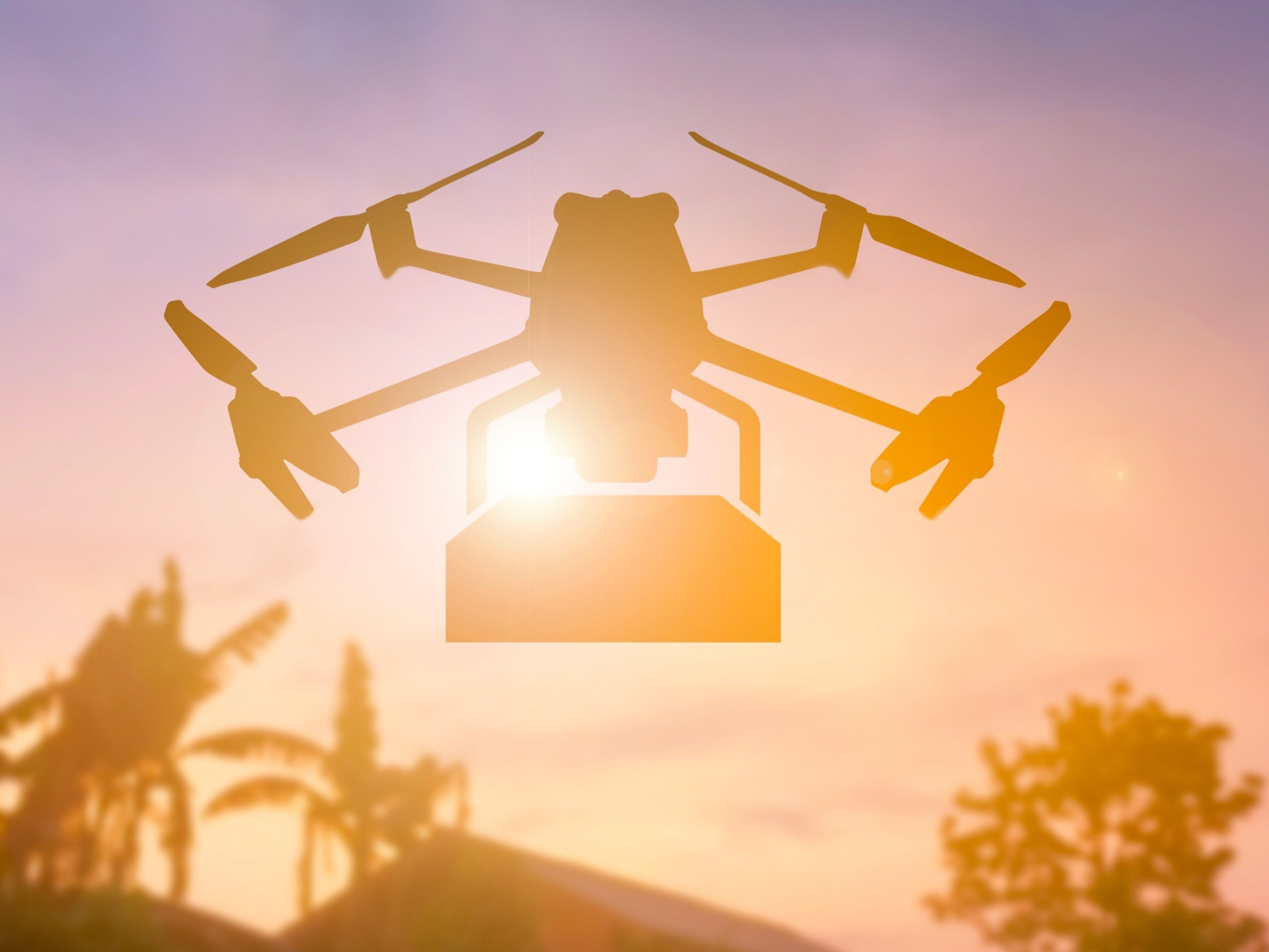 L'UE veut éviter la guerre des drones © Darkroom Graphic / Shutterstok