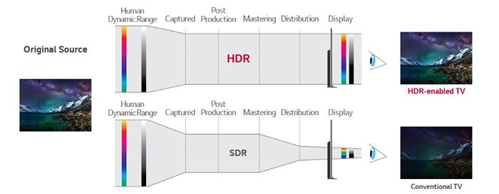 SDR / HDR