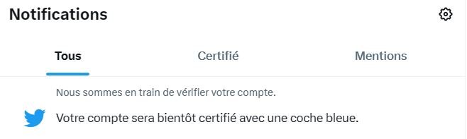 Une fois l'abonnement validé, il faudra patienter un peu avant de recevoir sa certification © Twitter