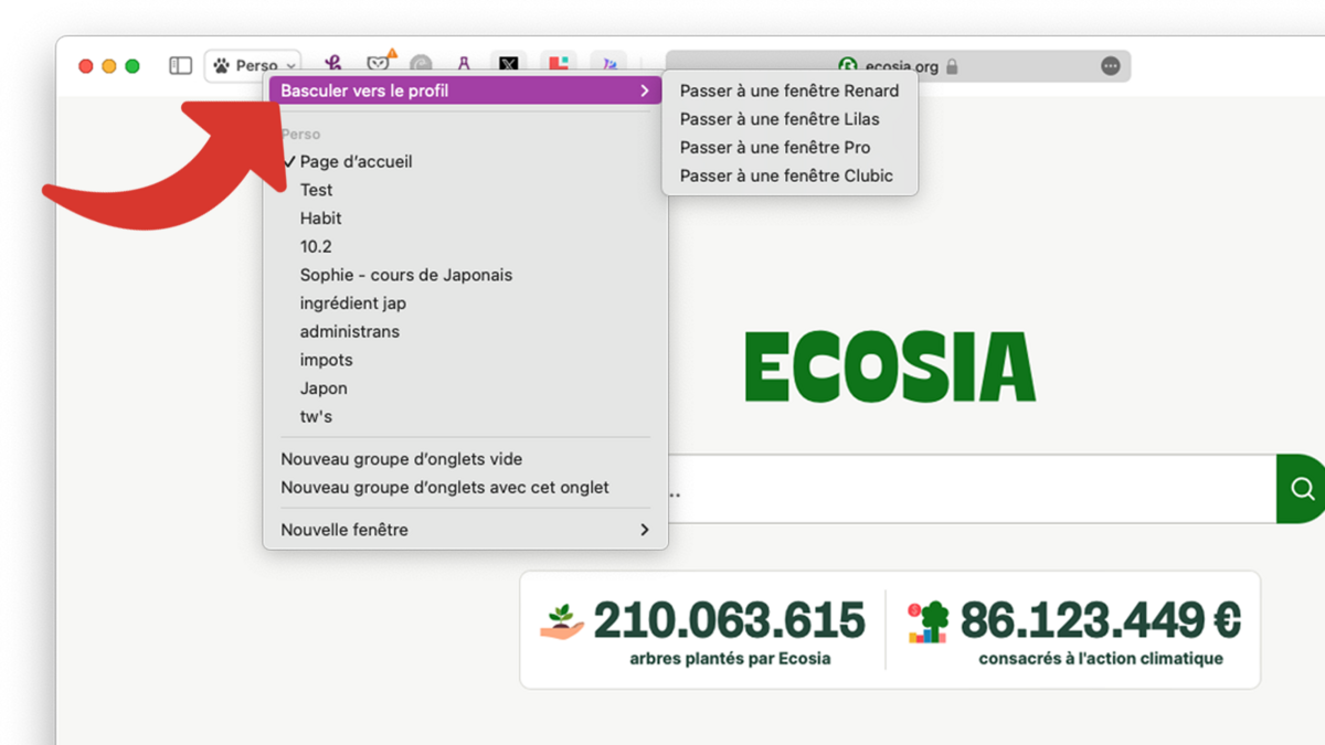 Basculer vers un profil Safari sur Mac © Clubic