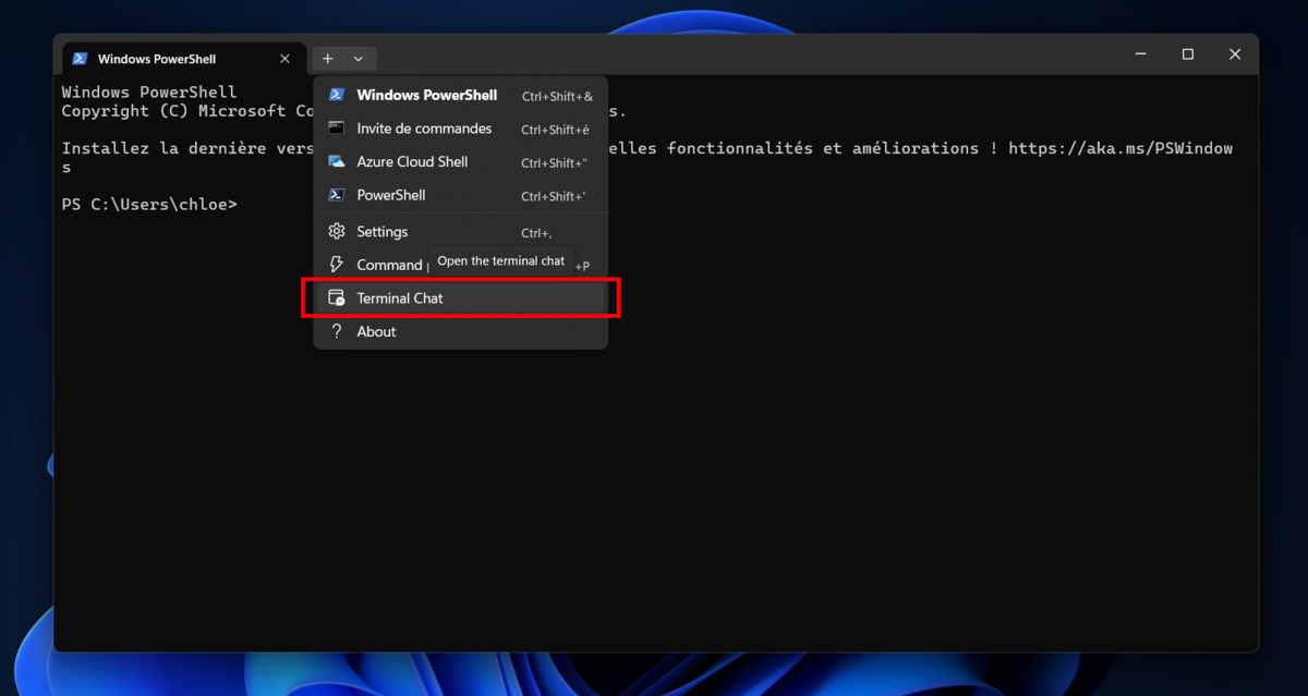 Repérez Terminal Chat dans le menu déroulant © Clubic