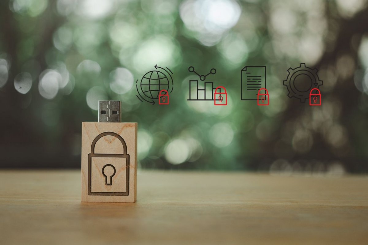 Clé USB, SSD ou disques durs externes, mais aussi cartes SD peuvent transmettre des virus à votre entreprise - ©Dontree_M / Shutterstock