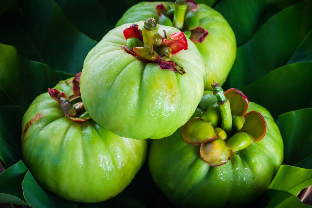 La Garcinia cambogia ou Tamarinier de Malabar , contenue dans certains compléments alimentaires, présente de graves dangers pour votre santé - © kdshutterman / Shutterstock