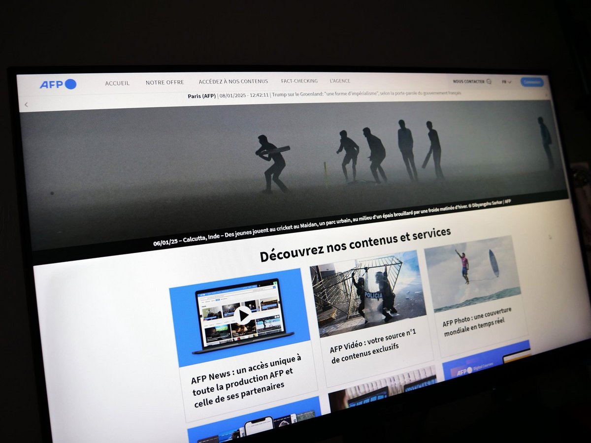 Une capture d'écran du site internet de l'AFP © Alexandre Boero / Clubic