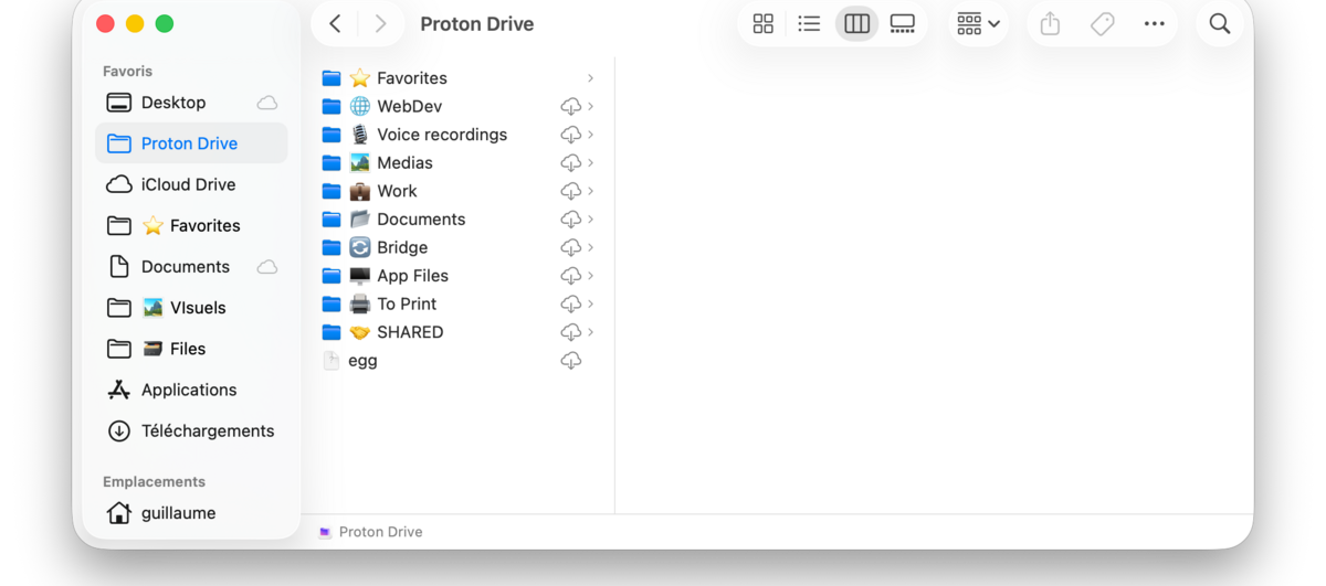 L'interface Web de Proton Drive for Business et l'intégration au système
