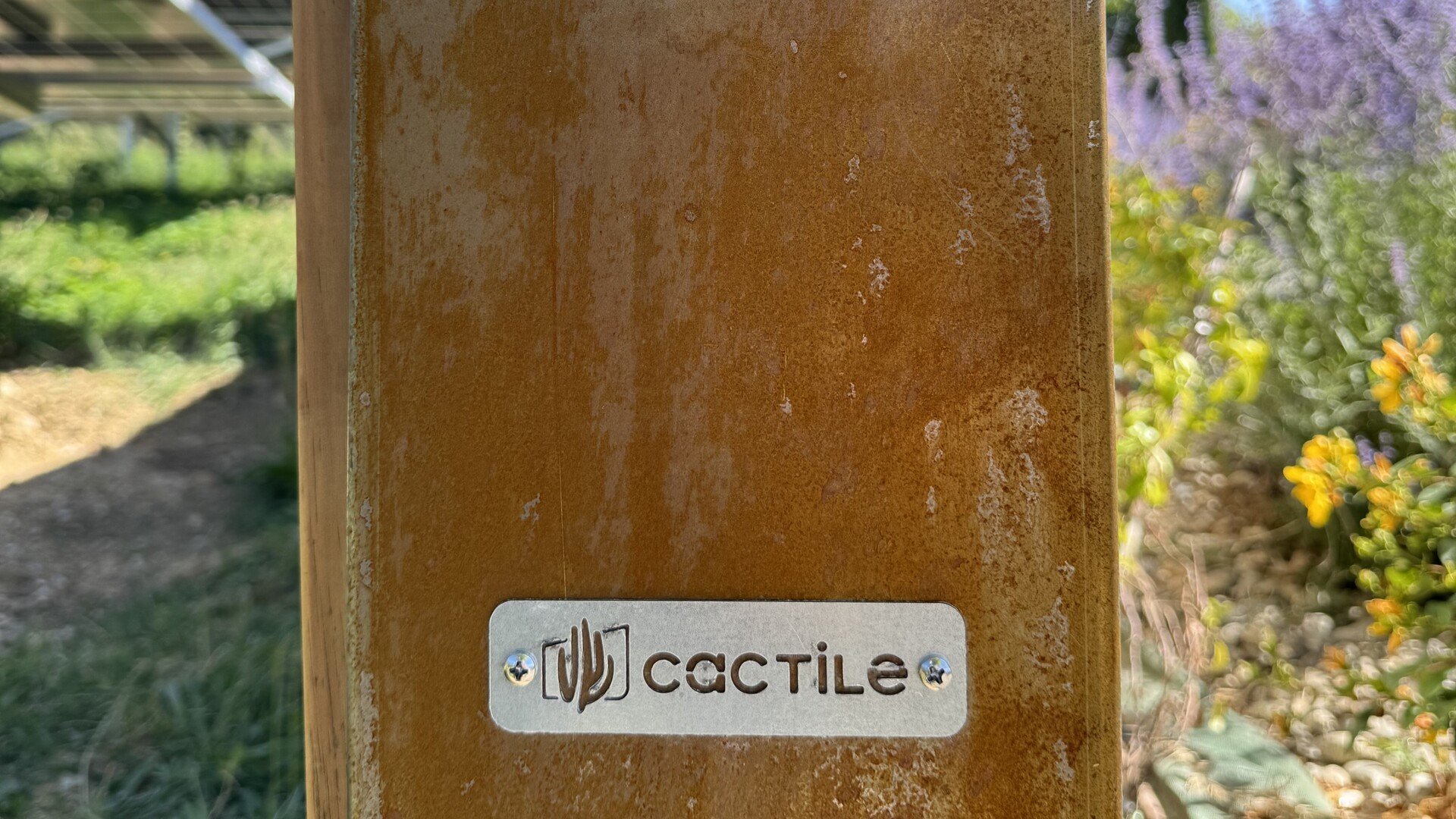 Le logo Cactile, taillé dans l'acier corten — l'un des habillages proposés pour la clôture stockante. © Cactile