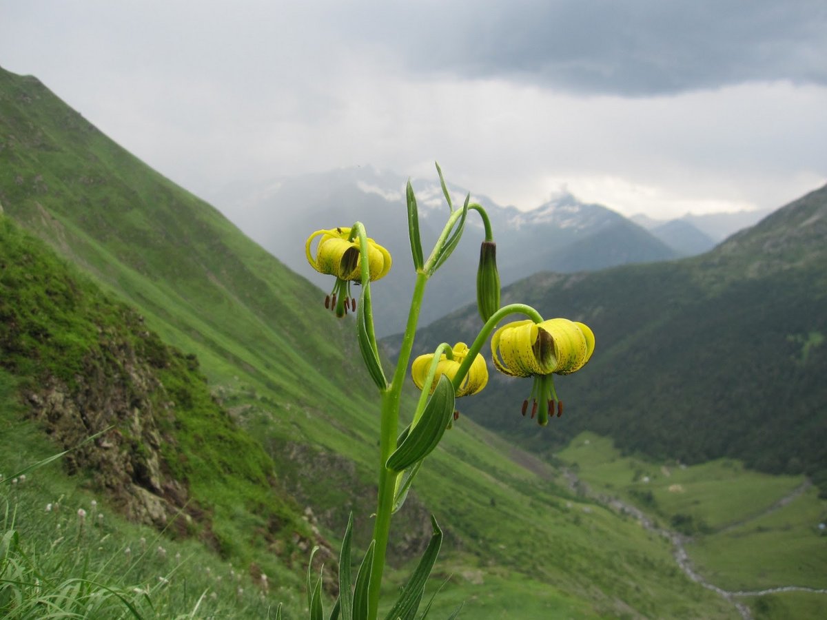 L'hydrogène va être cherché dans les Pyrénées