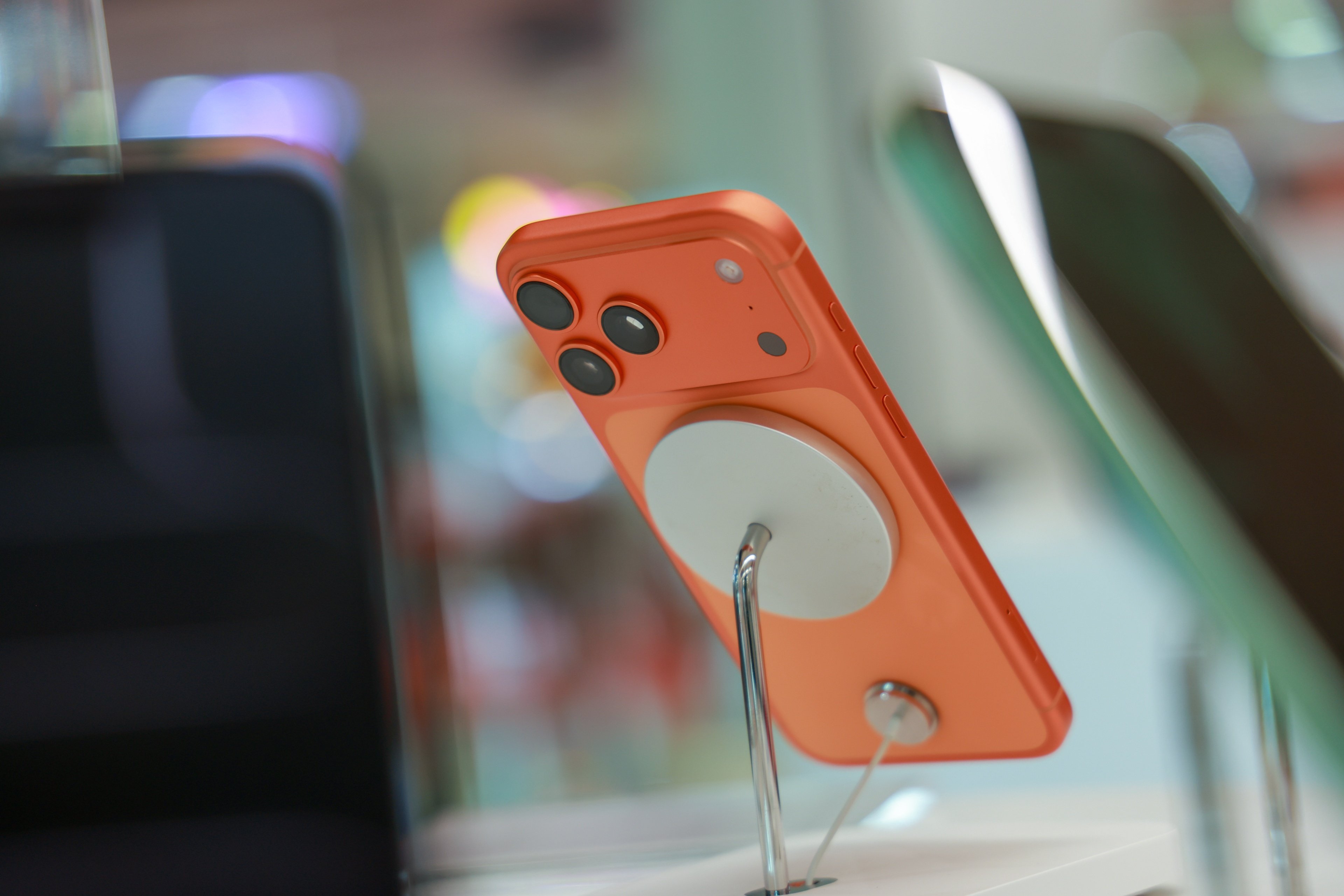 © 19 STUDIO / Shutterstock.com