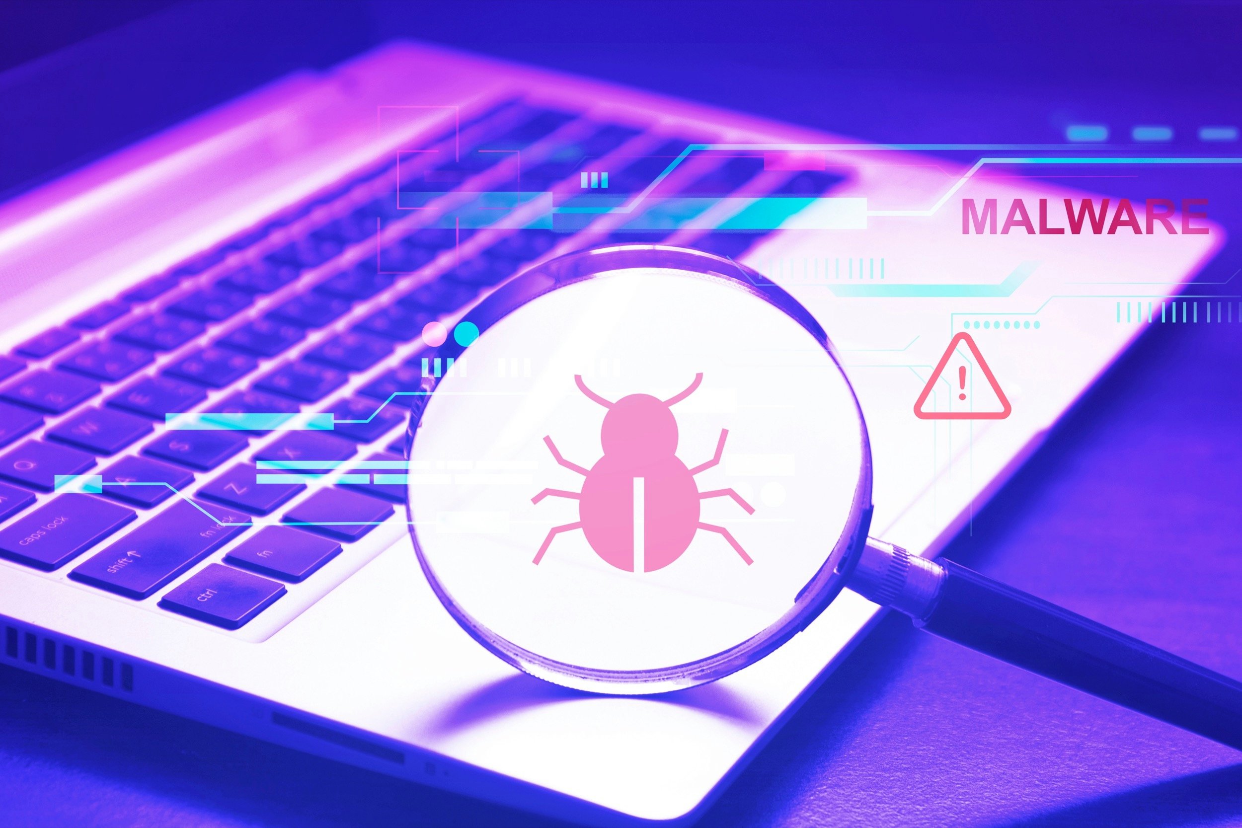 Attention à Torg Grabber, cet infostealer qui cible portefeuilles crypto, mots de passe et données locales. © janews / Shutterstock