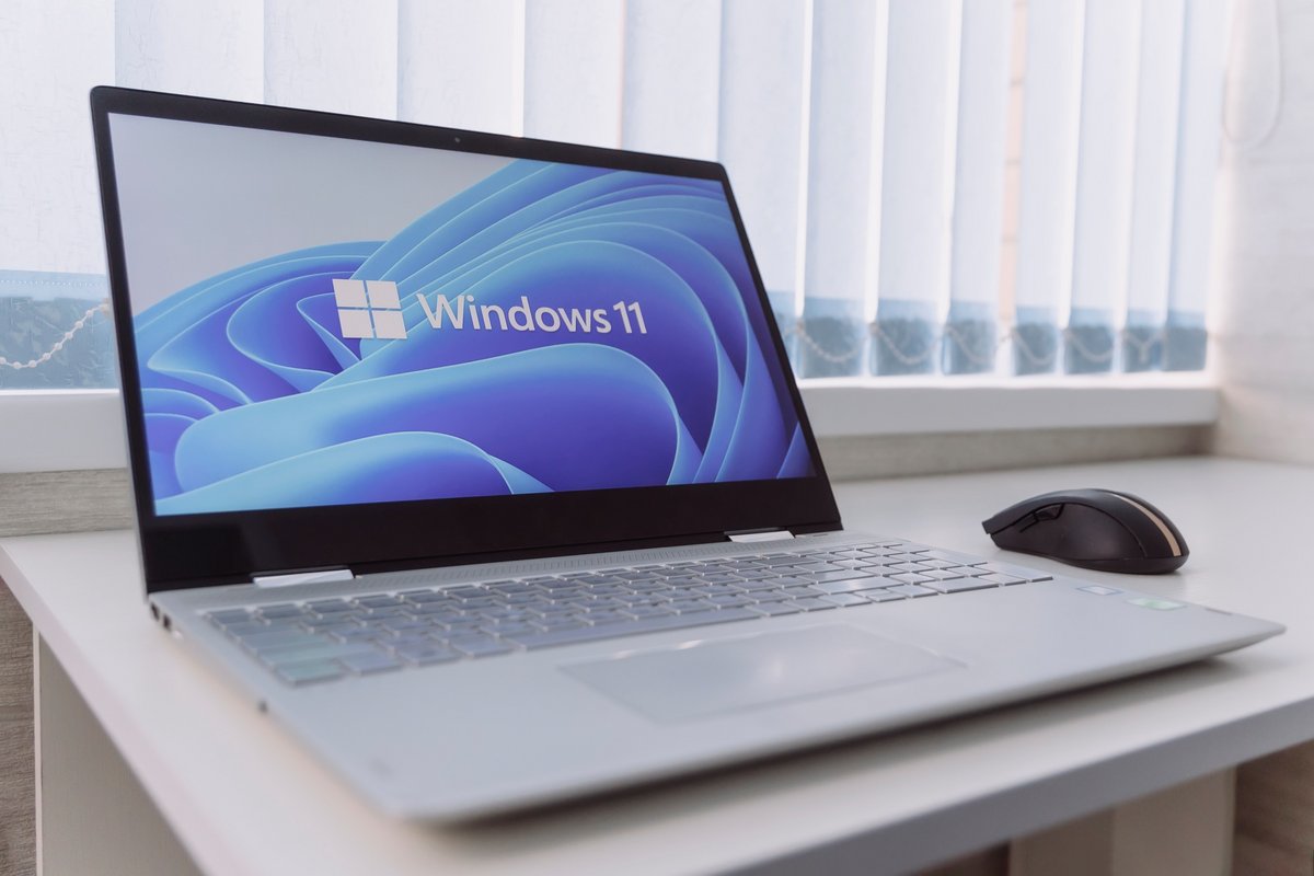 Votre PC est-il vraiment sécurisé ? Microsoft actualise son outil pour tester la fiabilité du TPM dans Windows 11 24H2 © Melnikov Dmitriy / Shutterstock