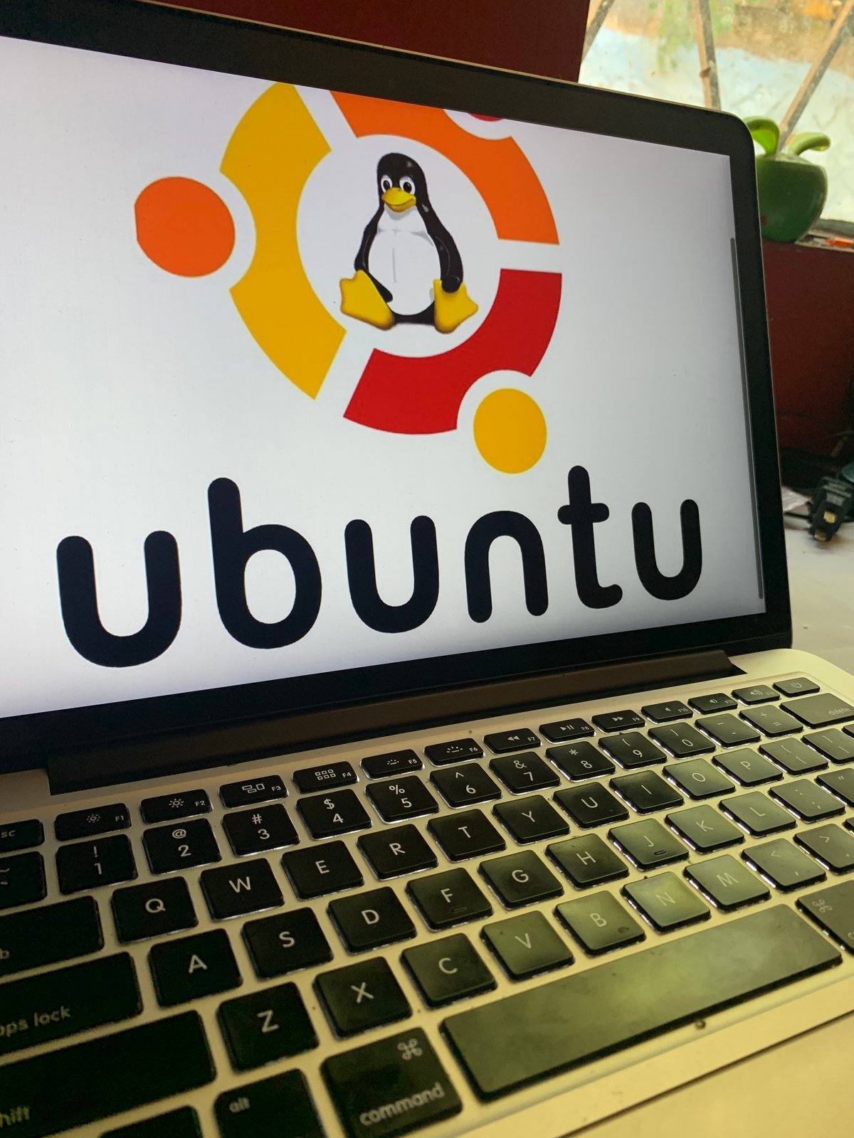  Ubuntu est un excellent choix pour de nombreux utilisateurs, en particulier les débutants et ceux qui recherchent un système stable et facile à utiliser. © DANIEL CONSTANTE / Shutterstock