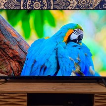 LG OLED55A2