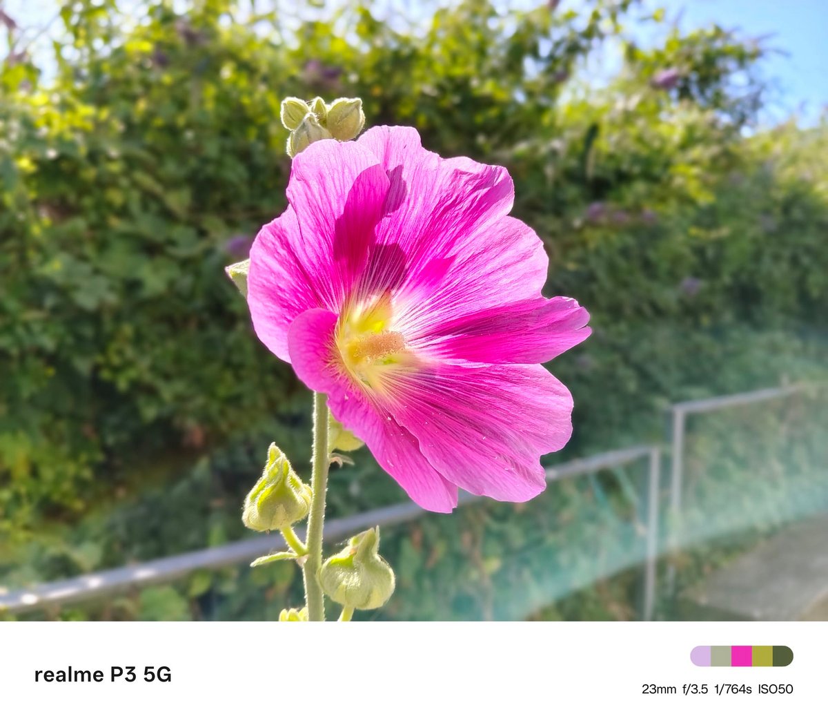 realme p3 test portrait