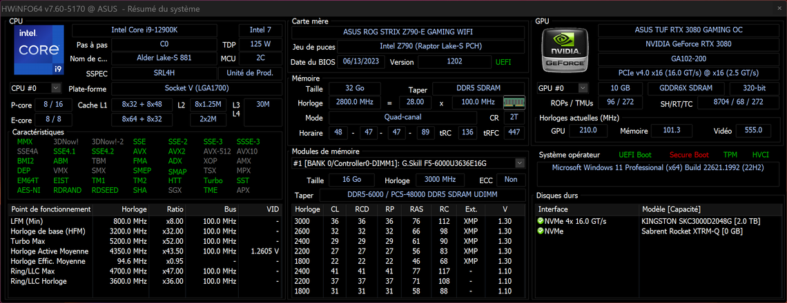 Attention, la capture HWInfo a été faite avec un Core i9-12900K © Nerces pour Clubic