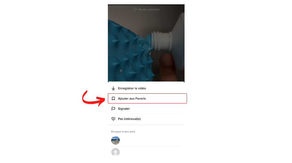 TikTok Favoris1