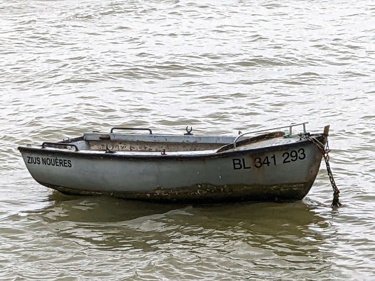 Google Pixel 6a bateau