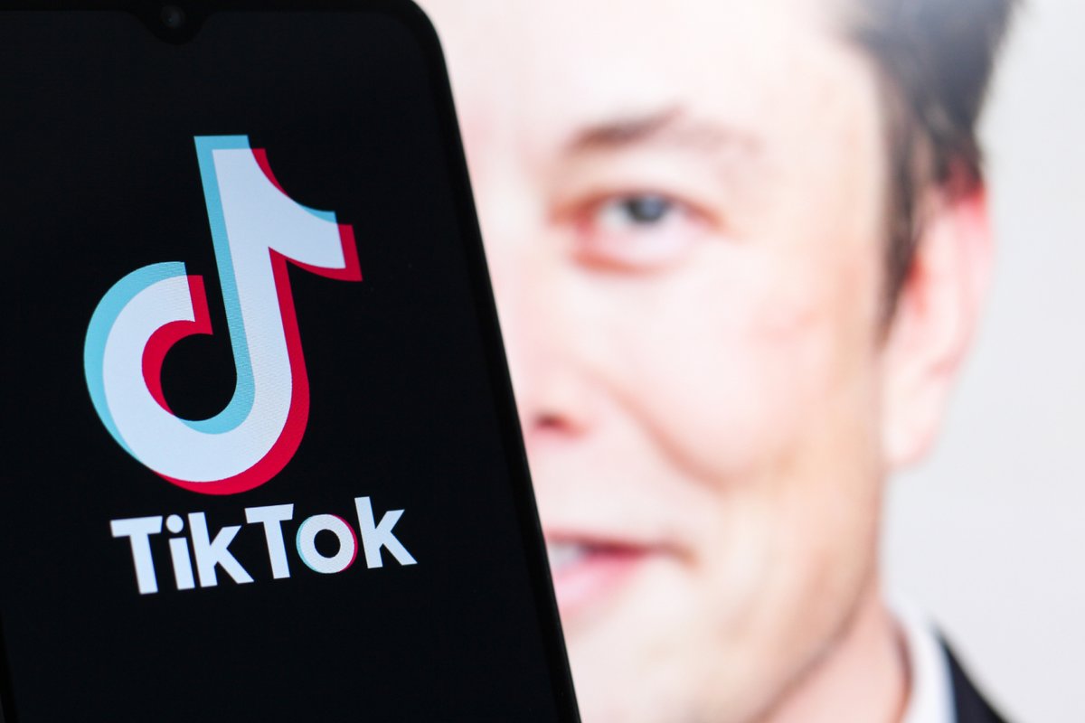 Elon Musk devient un candidat sérieux pour le rachat de TikTok © jackpress / Shutterstock