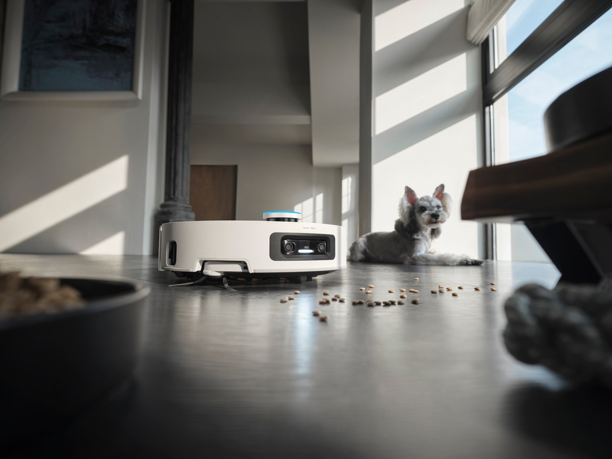 Les animaux ne sont pas oubliés par ce nouvel aspirateur robot © Dreame