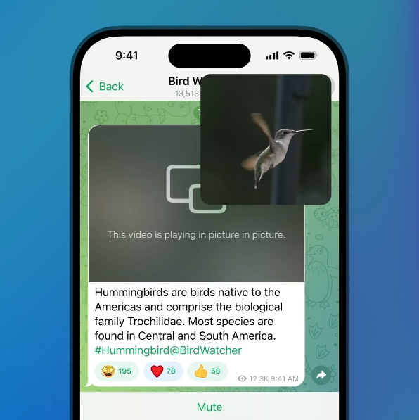 Telegram se dote d'un nouveau geste bien pratique pour le mode Picture-In-Picture sur iPhone © Telegram