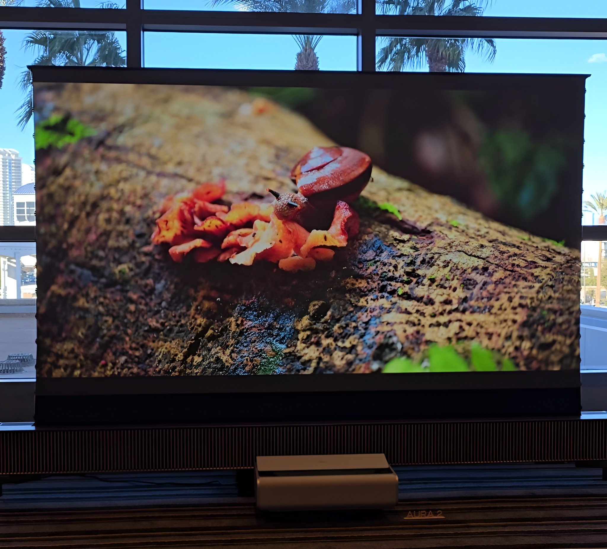 Le Xgimi Ascend avec le projecteur UST Xgimi AURA 2 © Matthieu Legouge pour Clubic