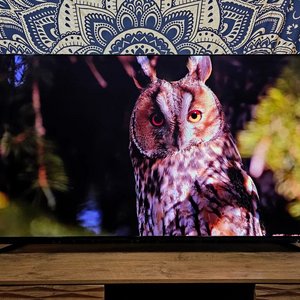 Sony Bravia XR-65A95L