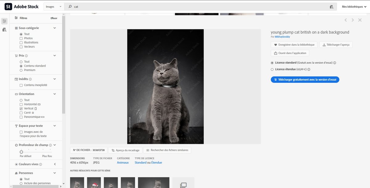 Adobe Stock page individuelle