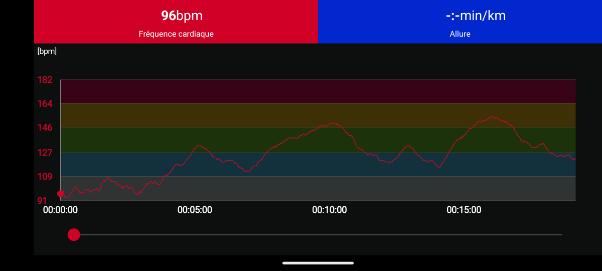 À gauche, le relevé de la Watch Fit 3. À droite, celui de la ceinture Polar H7. Les résultats restent relativement proches. - ©Johan Gautreau pour Clubic