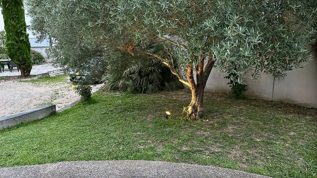 La qualité de jour est très satisfaisante, même en zoomant ©Eliott Vertbois pour Clubic