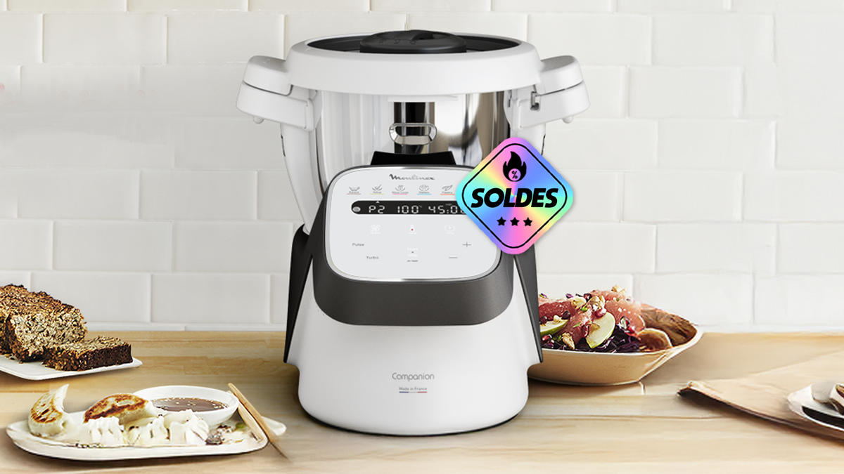 moulinex compagnon