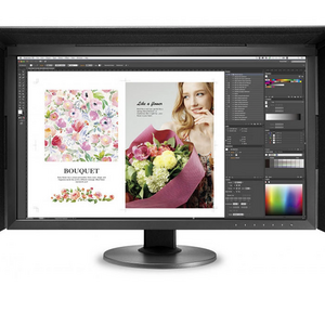 Eizo ColorEdge CG2730