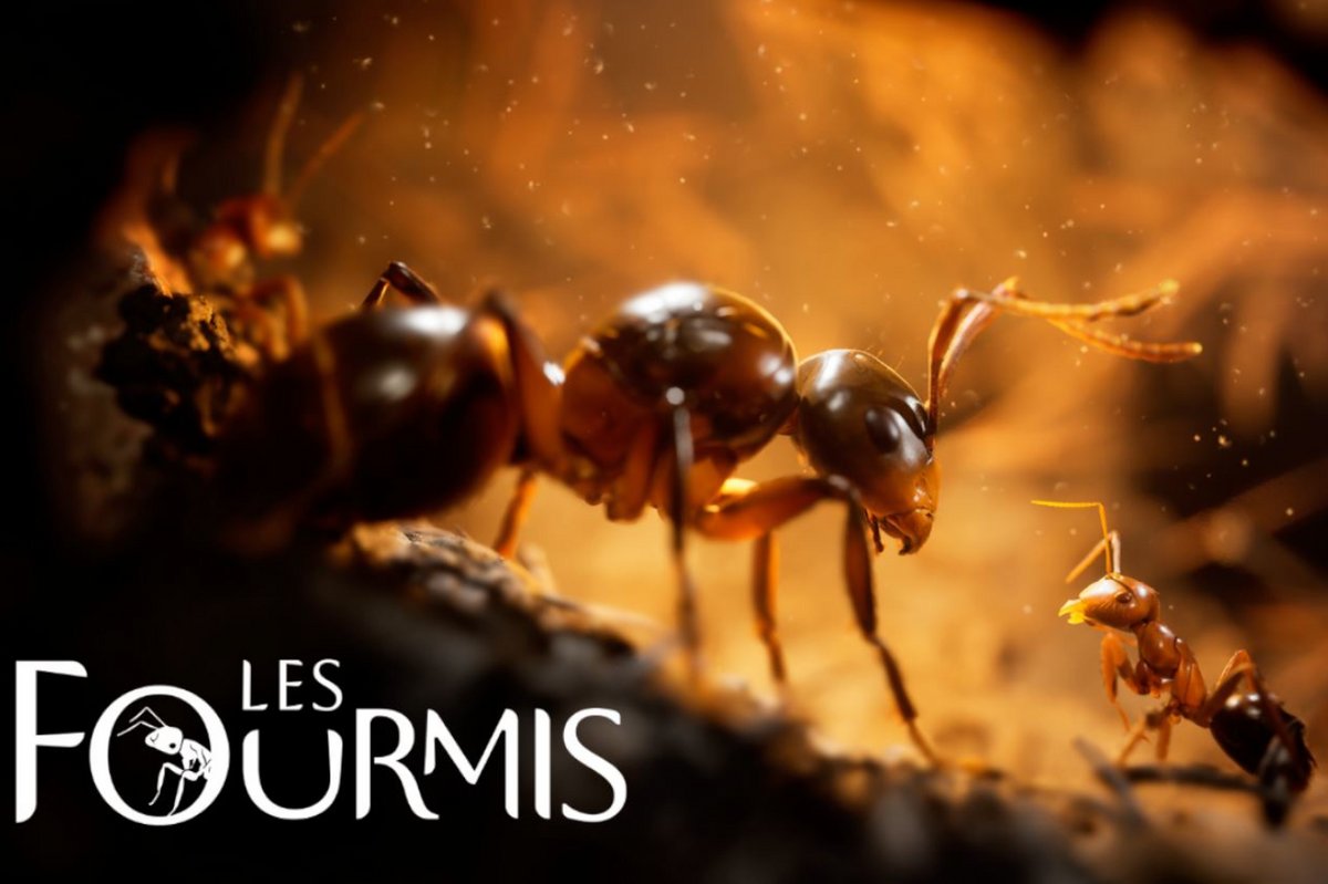 "Les Fourmis" s'annonce passionnant © Microids