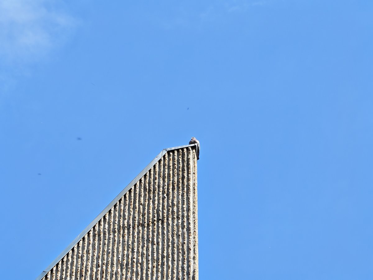 Zoom 6x © Marc Mitrani pour Clubic