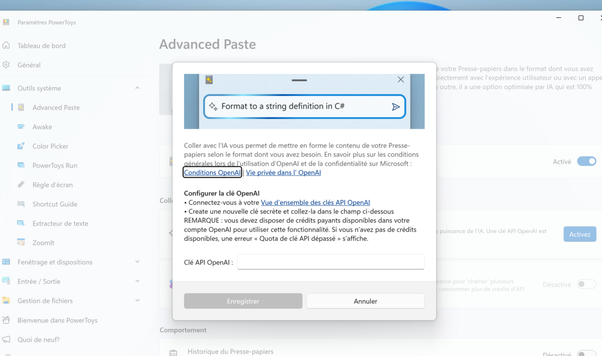 Advanced Paste demande une clé API d'OpenAI. © Clubic© Clubic