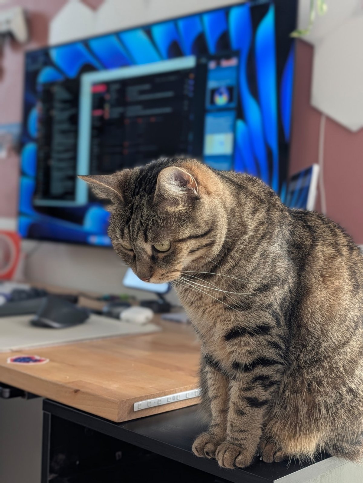 Google Pixel 10 Pro test portrait