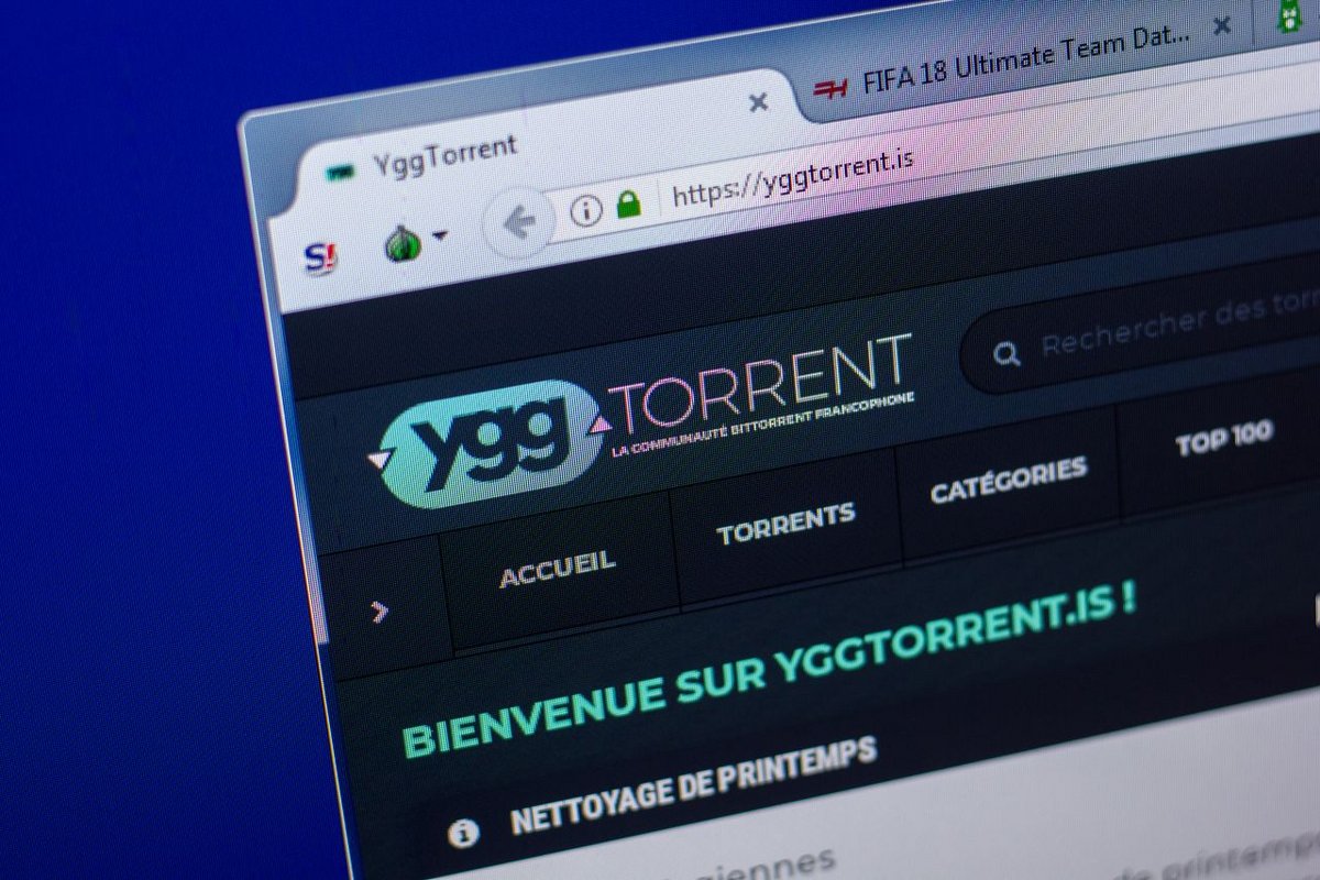 ygg torrent accusé d'exit scam - ©Sharaf Maksumov / Shutterstock