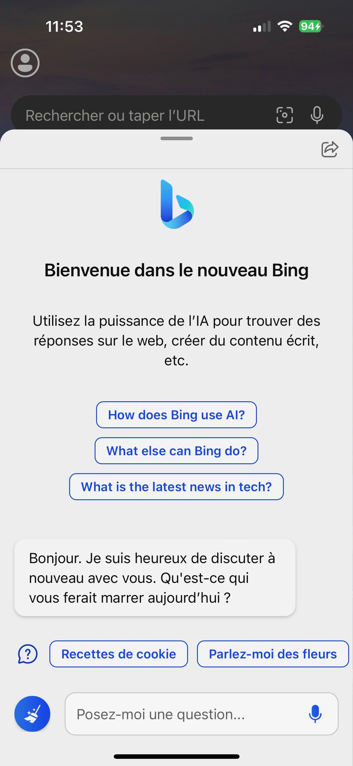 Bing chat iOS 2