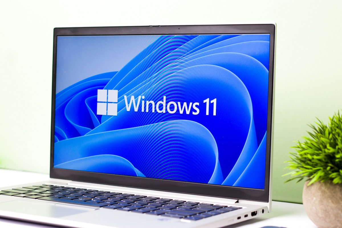 Windows 11 reprend des couleurs tandis que Windows 10 lâche du terrain : enfin la remontada ? © sdx15 / Shutterstock