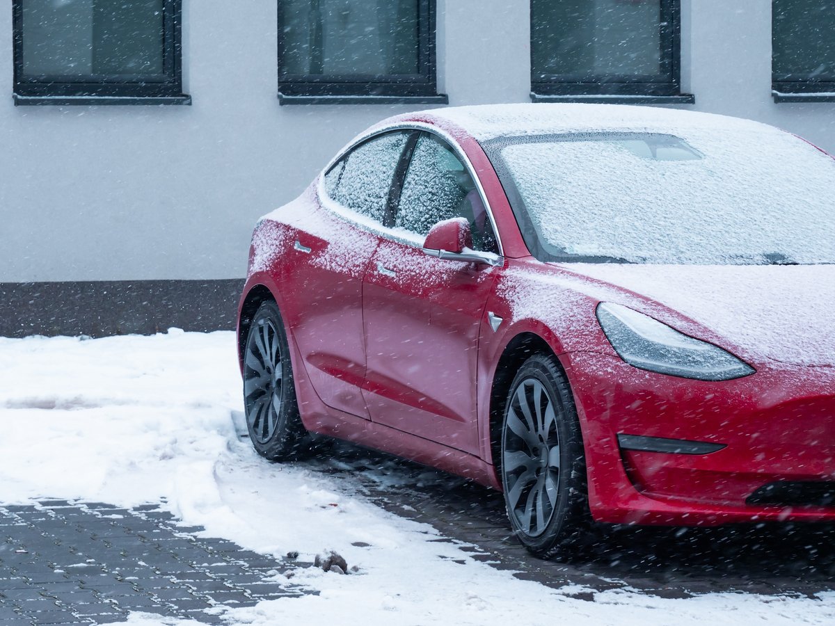  Une Tesla Model 3 dans son environnement pas si naturel © mares90 / Shutterstock