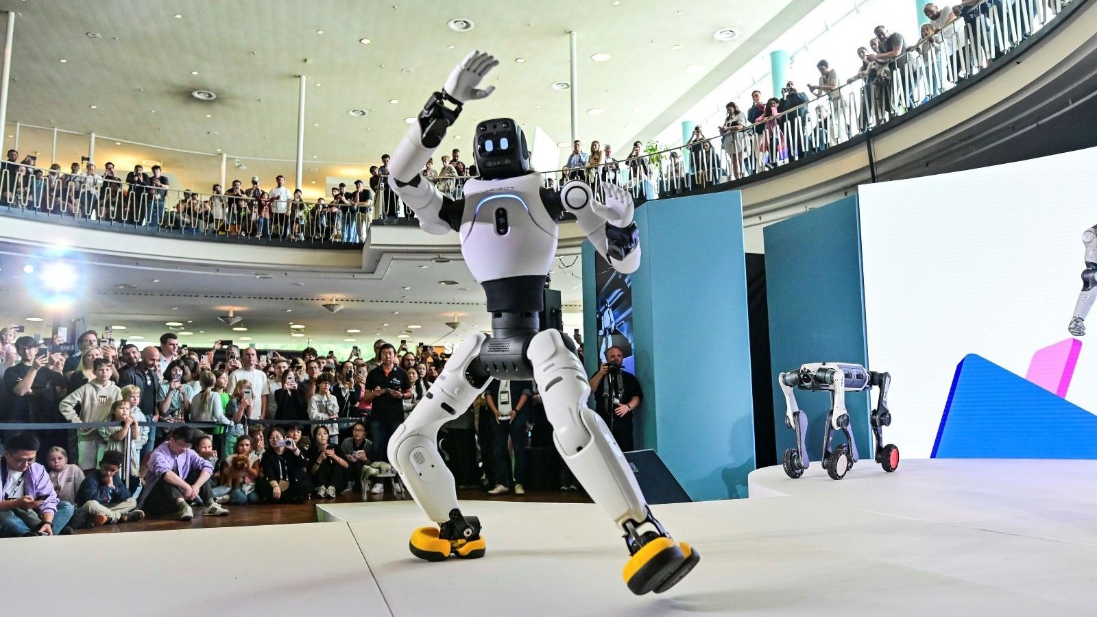 À l’IFA 2026, les robots humanoïdes passent aux coups de poing - ©IFA Managment