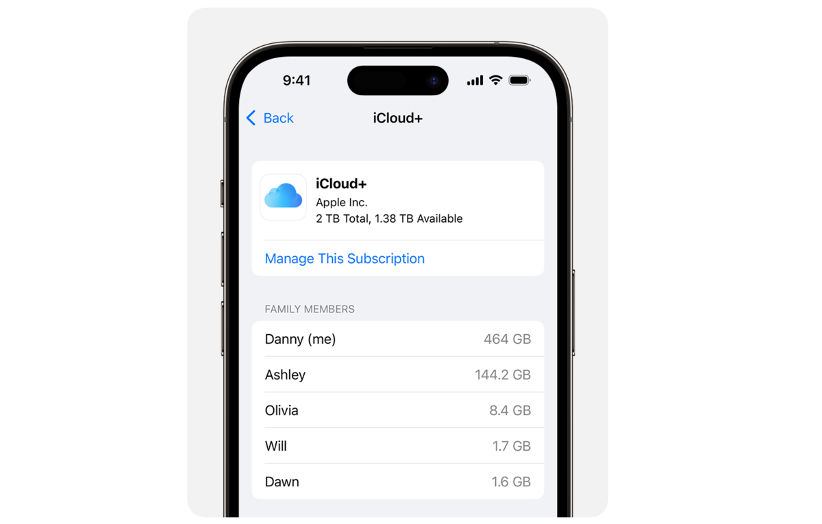 Partage familial iCloud - La quantité de stockage 