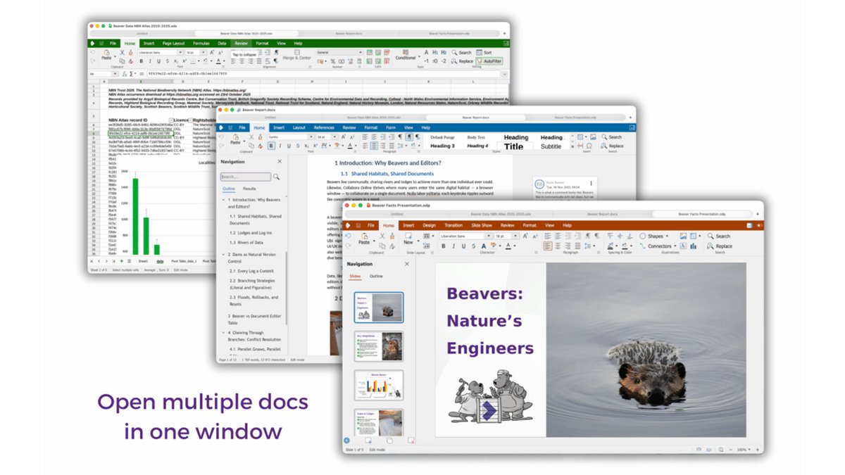 Collabora Office offre une suite complète et compatible Microsoft, issue de LibreOffice, permettant de travailler et collaborer efficacement en local ou en ligne - © Collabora Office