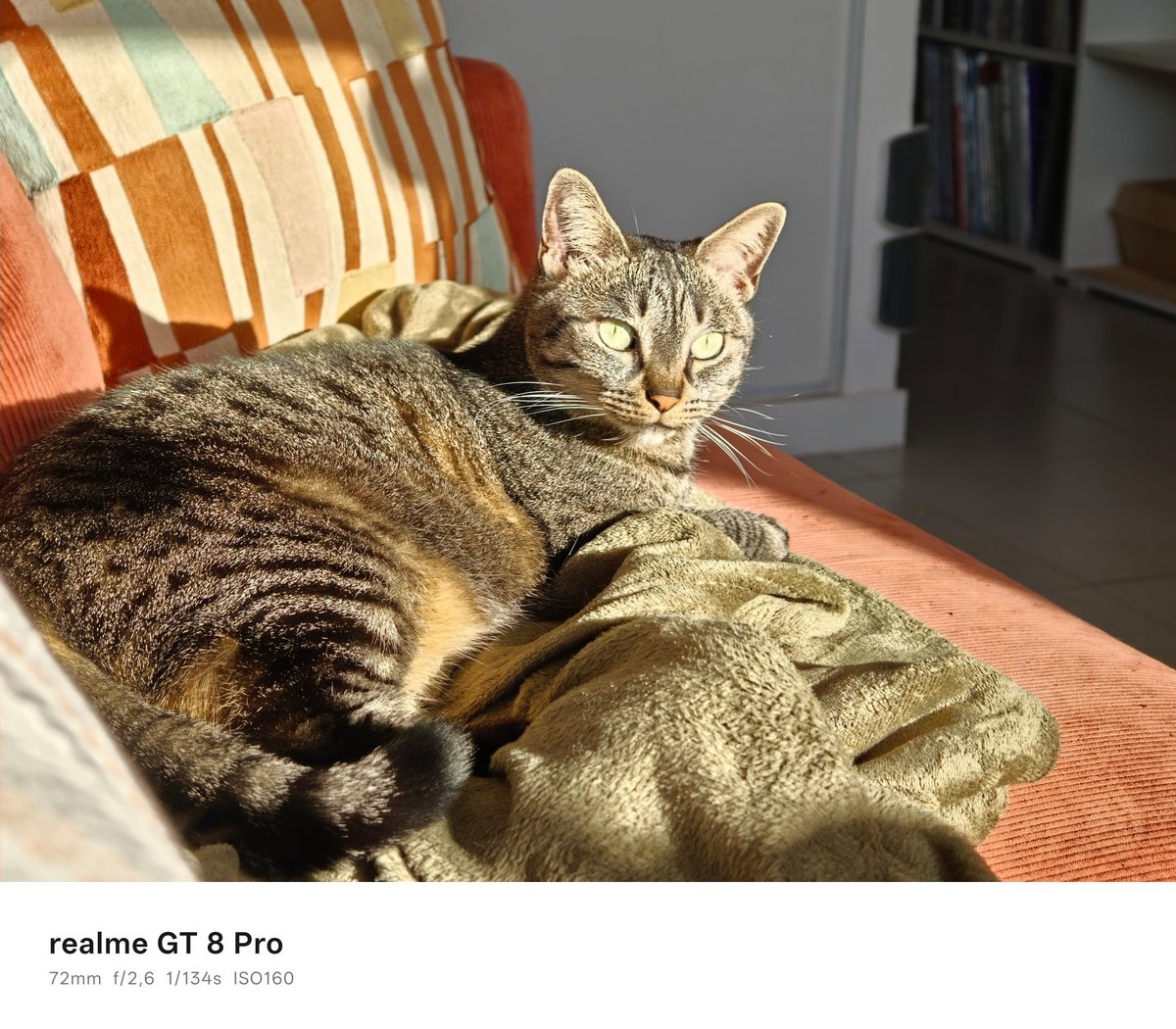 realme gt 8 pro portrait