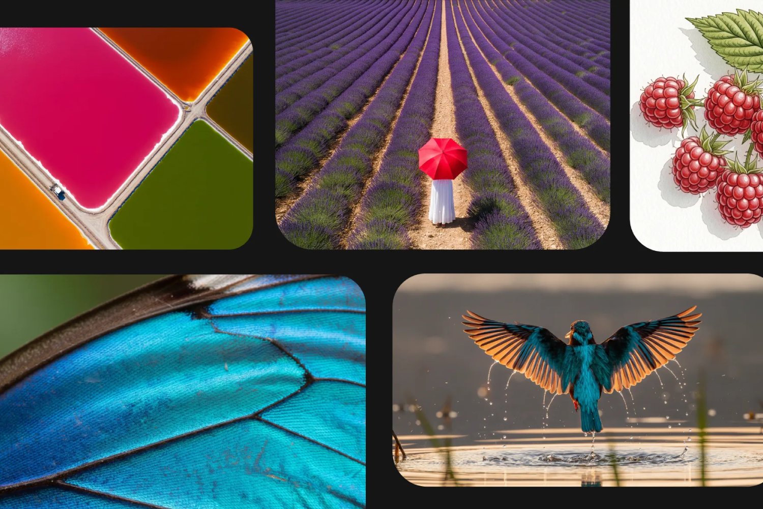 Des images générées par Imagen 4. ©Google